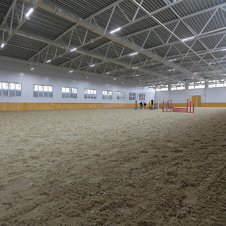 Внутри манежа